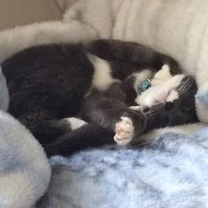 Meet your Posher, Laura